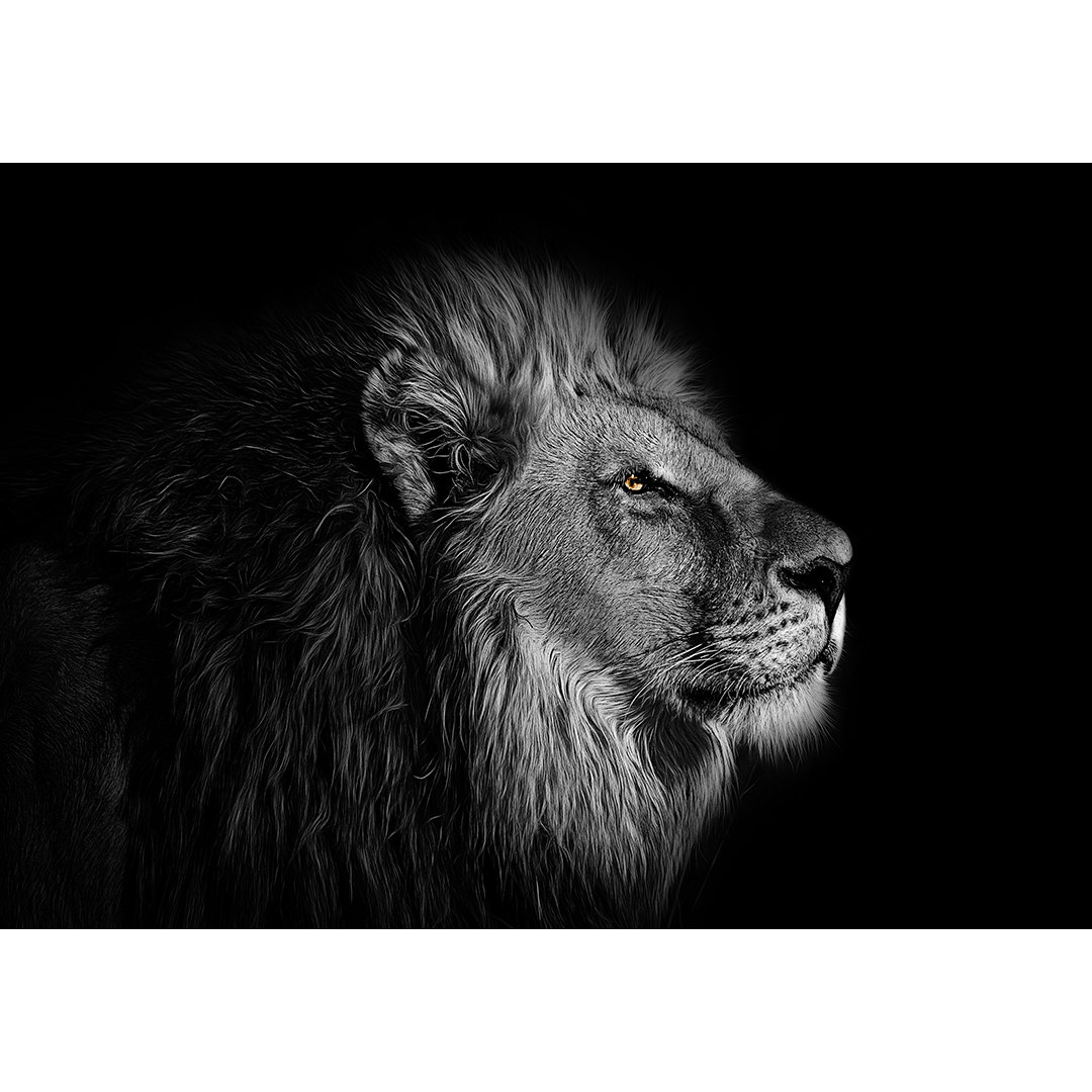 KDMT000000261 - Metal Tablo