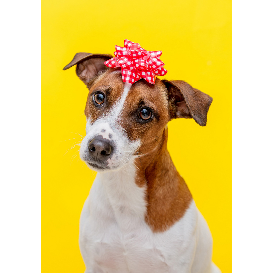 KDMT000011225 - Metal Tablo