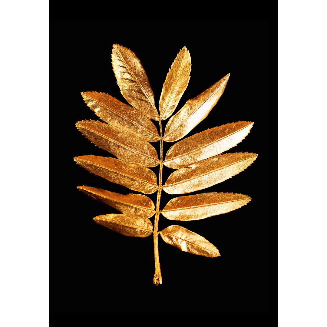 KDMT000016478 - Metal Tablo